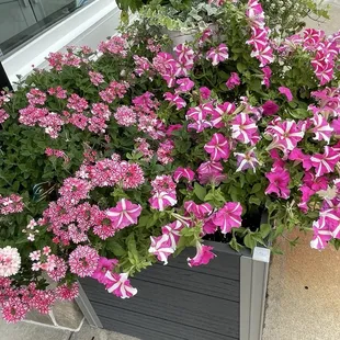 The proprietor created a show-stopping entry to the shop.