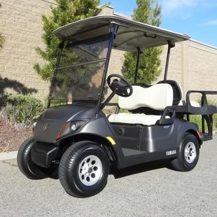 Yamaha Drive2 in Graphite matte, 4-passenger