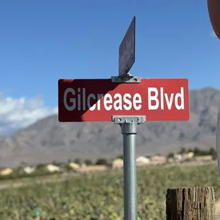 The main road on the property