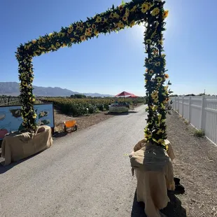 Entrance to Sunflower city