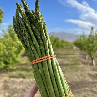 Asparagus season, yum!