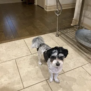 Guilded Plumbing is the best in my opinion!