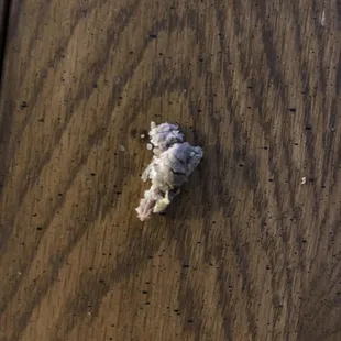  a dead bird on a wooden table