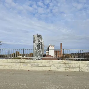 Sorry for the fence.