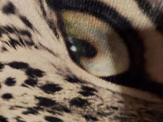 Ace Hardware Inyokern