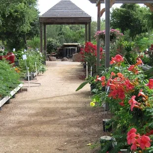 Center of Airline Location