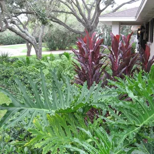 Phillip Elbert's Design