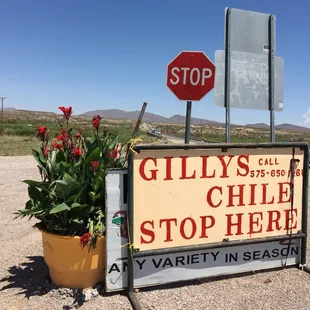 a stop sign and a potted plant