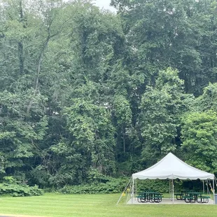 a picnic area in the middle of the park