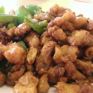 Kung Pao chicken is great but not spicy at all.
