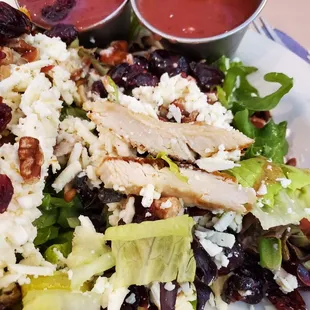 Free Double cups of Raspberry Vinaigrette for Michigan Grilled Chicken Salad.  9/5/2024