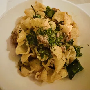 Conchiglie Pasta