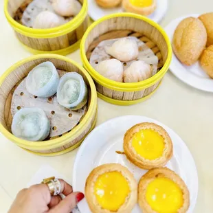 Baked Egg Custard Tart, Shanghai Fried Noodle, Shrimp Dumpling with Chives, Fried Mochi Puff