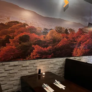 a view of a mountain range