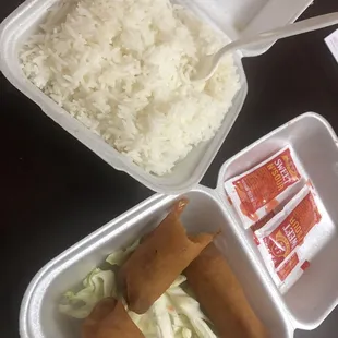 Spring roll + rice