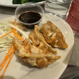 Chicken Pot Sticker