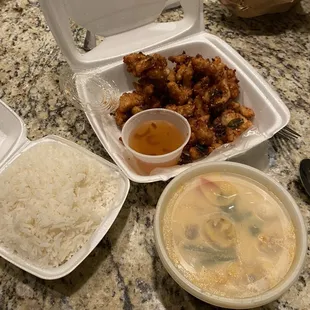 Herbal Chicken and rice, Tom Kha