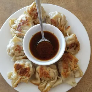 Big Fat Pan fried pork dumplings. YUMMY