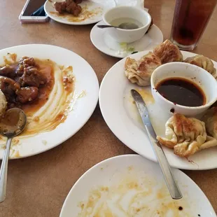 Leftovers from our lunch. General Tso and steamed rice, and dumplings. Full app and meal for later.