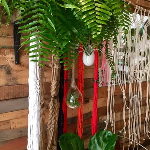 Plant hangers