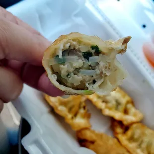 Close up of pork bulgogi mandu (dumpling)