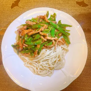Chengdu style stir fried noodles topped with pork and sliced green peppers (mild spicy)