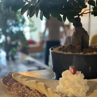 a plate of food