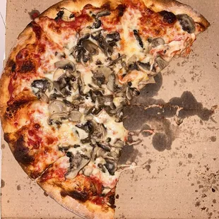 Mushroom pizza