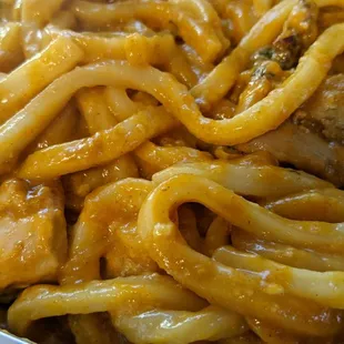 Curry Chicken Udon - frozen via Weee!