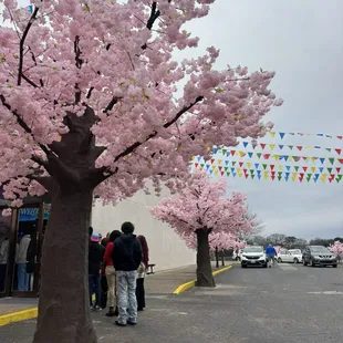 A line out the door first hour of opening on Sunday