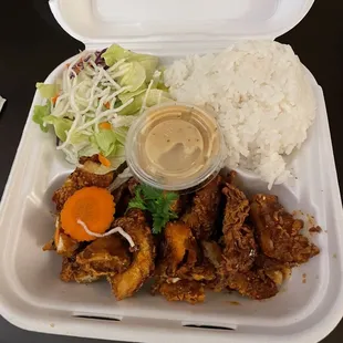 21. Spicy crispy chicken plate