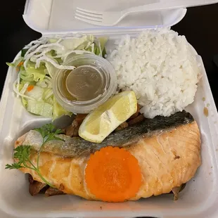 19. Salmon and chicken plate