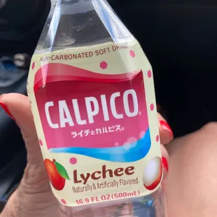 CALPICO LEECHE drink and Pocky sticks!