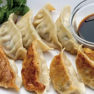 Pan fried dumplings
