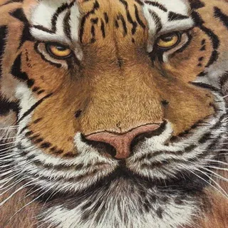 J W.