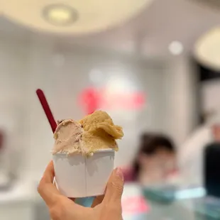 Apricot Hazel nuts chocolate