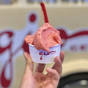 at renegade crafts fair: strawberry (08/2024)