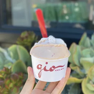 nectarine + White Peach (best flavor is peach btw) (07/2020)