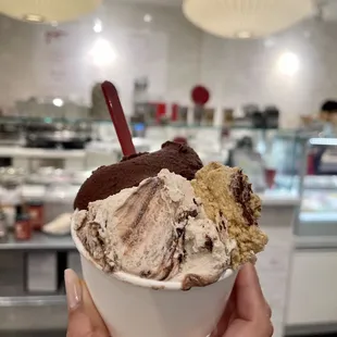 Medium hazelnut, tiramisu, and Vegan Chocolate