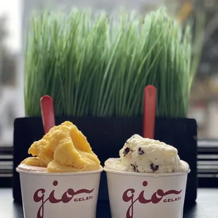 Passion Fruit + nectarine // Stracciatella (06/2020)