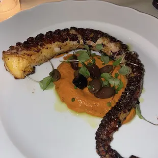 Grilled Octopus