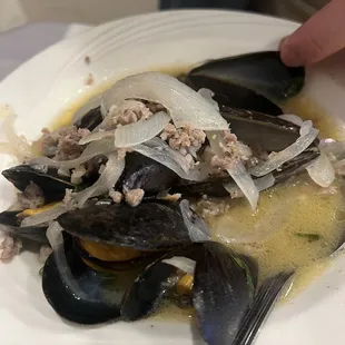 Mussels in White