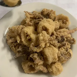 Fried Calamari