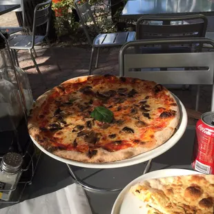 Mushrooms Pizza