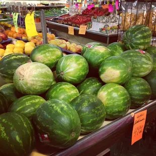 Sweet Turlock watermelon