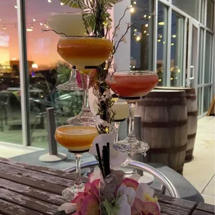 Margarita tree