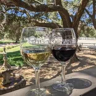 Chardonnay and Gaucho Malbec