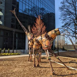 Giraffe Sculptures, South End, Charlotte