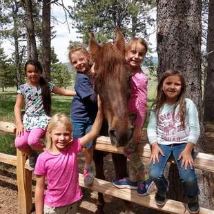 Camp Elliott Barker in Angel Fire