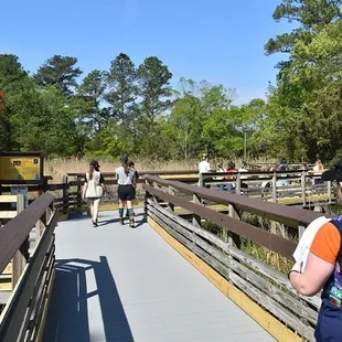 The Outback behind A Place for Girls